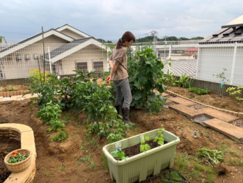 大木家 ５月コロナ休業期間中 自給自足の生活へ 庭を開墾 八千代市でリフォーム リノベーションならteam Lohas チームロハス
